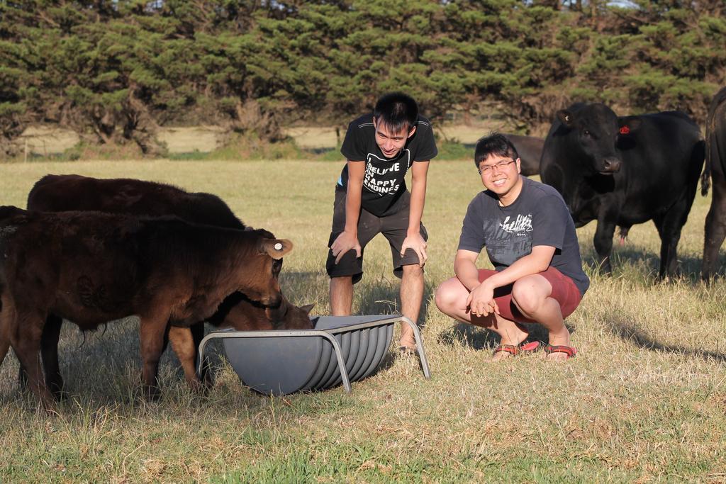 Bimbadeen Phillip Island Farm Retreats Ventnor Exteriér fotografie
